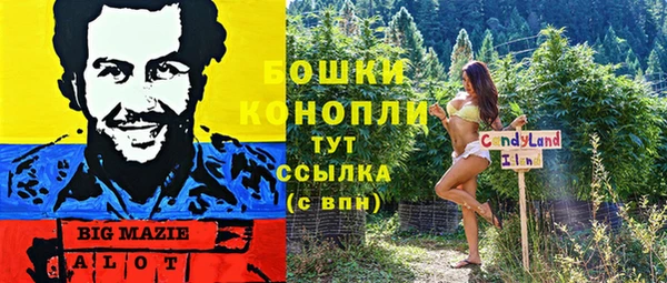 соль ск Новокубанск
