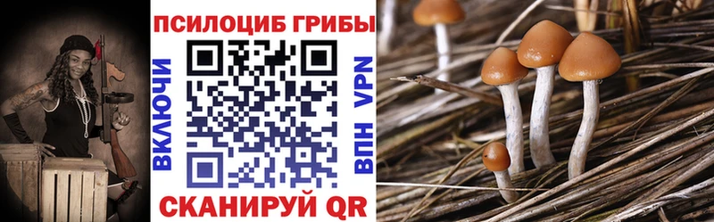 Псилоцибиновые грибы Psilocybine cubensis  Тулун 