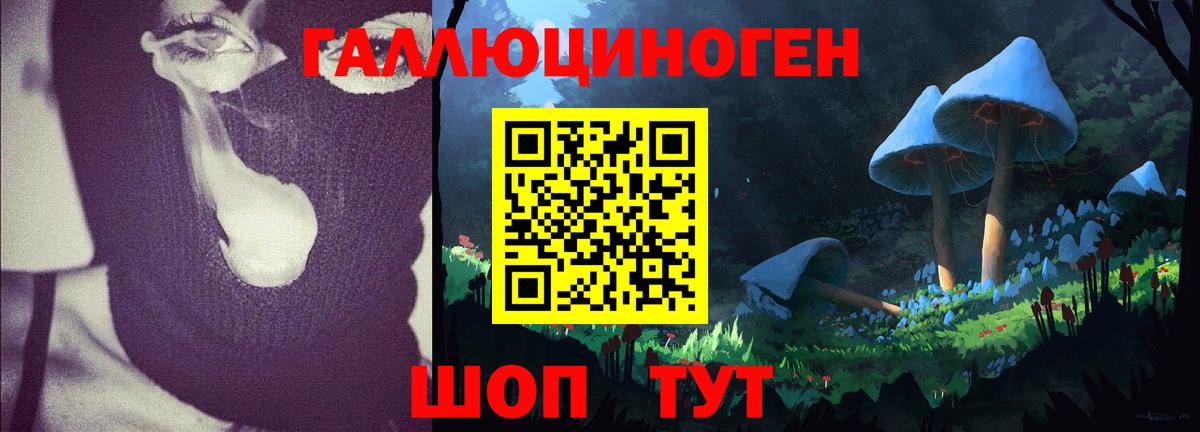 Псилоцибиновые грибы мухоморы Тулун